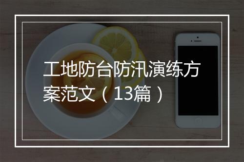 工地防台防汛演练方案范文（13篇）