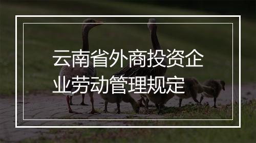云南省外商投资企业劳动管理规定