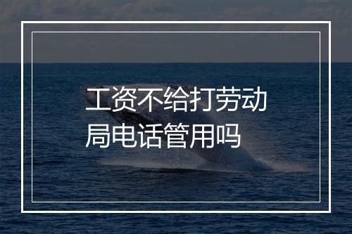 工资不给打劳动局电话管用吗