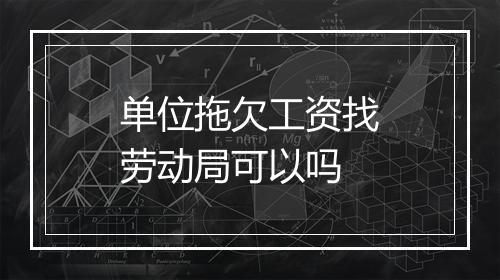 单位拖欠工资找劳动局可以吗