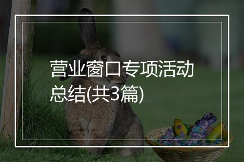 营业窗口专项活动总结(共3篇)