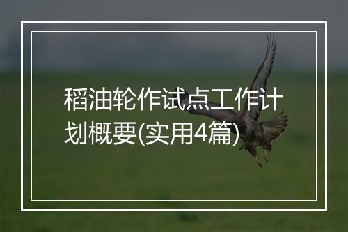 稻油轮作试点工作计划概要(实用4篇)