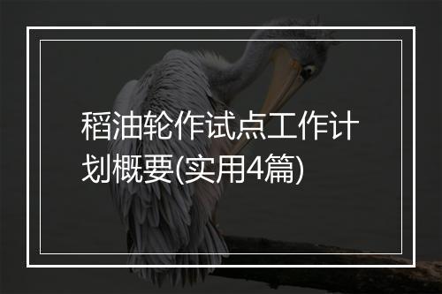 稻油轮作试点工作计划概要(实用4篇)