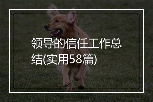 领导的信任工作总结(实用58篇)