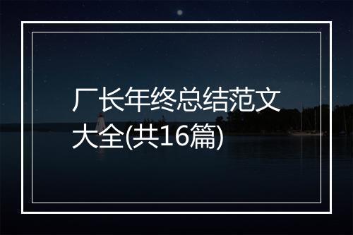 厂长年终总结范文大全(共16篇)