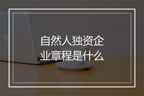 自然人独资企业章程是什么