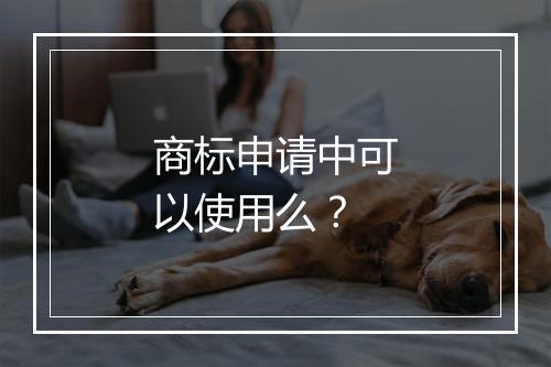 商标申请中可以使用么？