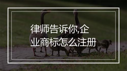 律师告诉你,企业商标怎么注册