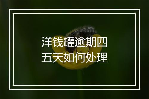 洋钱罐逾期四五天如何处理
