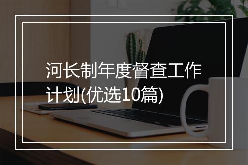 河长制年度督查工作计划(优选10篇)