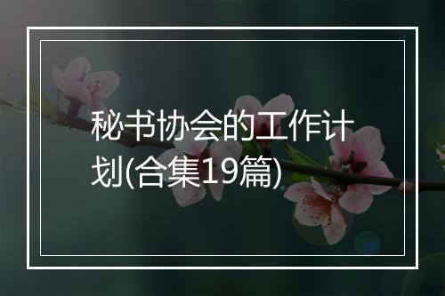 秘书协会的工作计划(合集19篇)