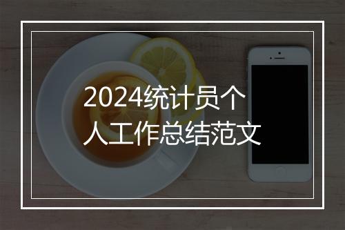 2024统计员个人工作总结范文