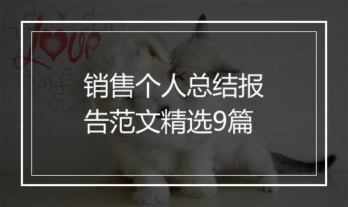 销售个人总结报告范文精选9篇