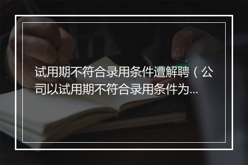 试用期不符合录用条件遭解聘（公司以试用期不符合录用条件为由解聘，但是入职两个月内，公司并没有告知考核的标准，以一次转正述职报告为由考核）