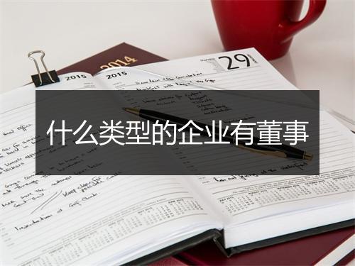 什么类型的企业有董事
