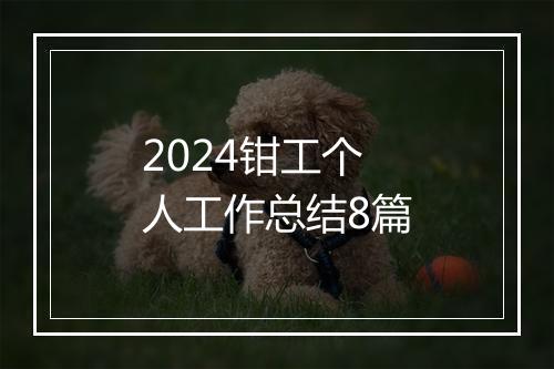 2024钳工个人工作总结8篇