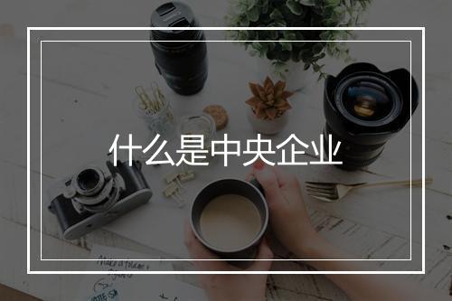 什么是中央企业