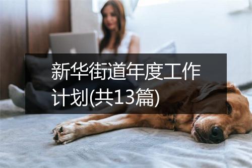 新华街道年度工作计划(共13篇)