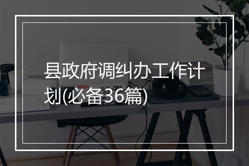 县政府调纠办工作计划(必备36篇)