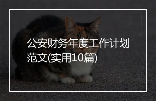 公安财务年度工作计划范文(实用10篇)