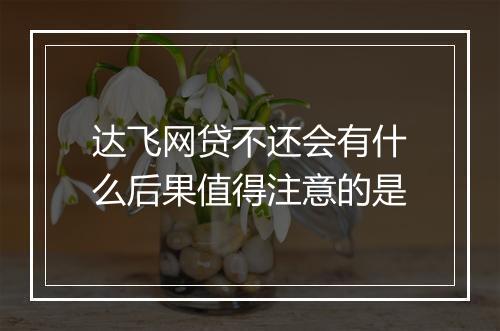 达飞网贷不还会有什么后果值得注意的是