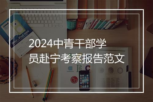 2024中青干部学员赴宁考察报告范文
