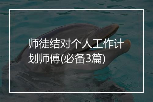 师徒结对个人工作计划师傅(必备3篇)