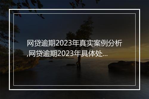 网贷逾期2023年真实案例分析,网贷逾期2023年具体处理