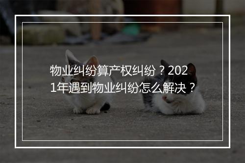 物业纠纷算产权纠纷？2021年遇到物业纠纷怎么解决？