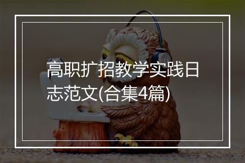 高职扩招教学实践日志范文(合集4篇)