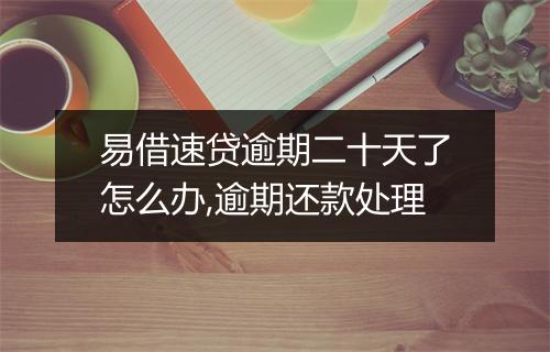 易借速贷逾期二十天了怎么办,逾期还款处理
