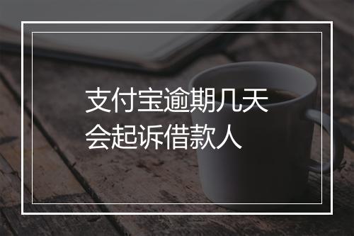 支付宝逾期几天会起诉借款人