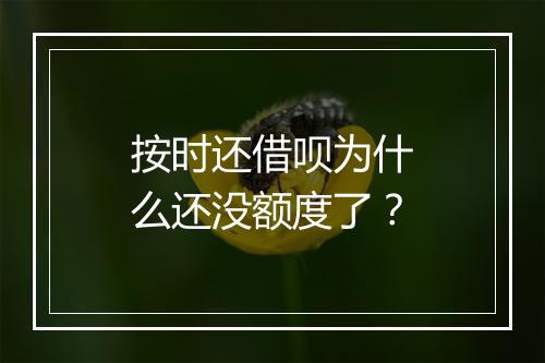 按时还借呗为什么还没额度了？