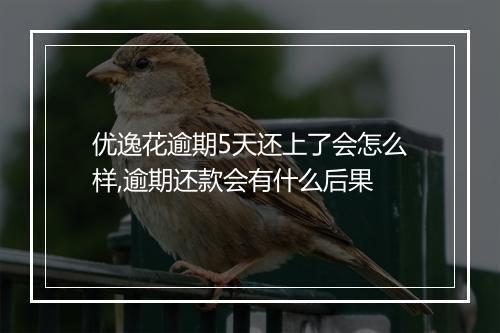 优逸花逾期5天还上了会怎么样,逾期还款会有什么后果