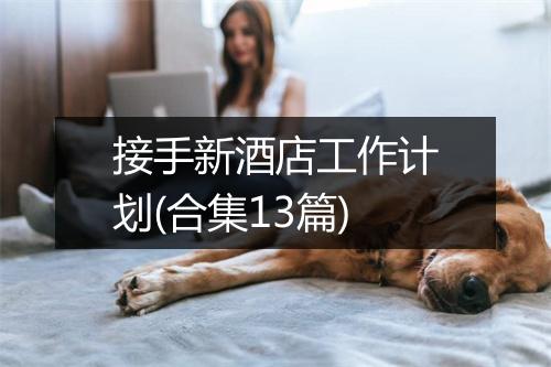 接手新酒店工作计划(合集13篇)