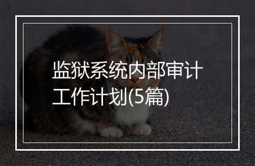 监狱系统内部审计工作计划(5篇)