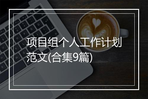 项目组个人工作计划范文(合集9篇)