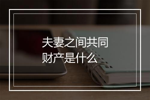 夫妻之间共同财产是什么