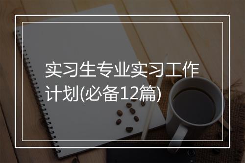 实习生专业实习工作计划(必备12篇)