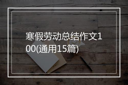 寒假劳动总结作文100(通用15篇)