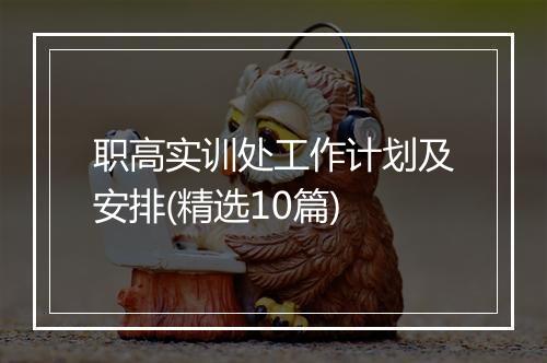 职高实训处工作计划及安排(精选10篇)