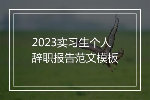 2023实习生个人辞职报告范文模板