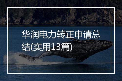华润电力转正申请总结(实用13篇)