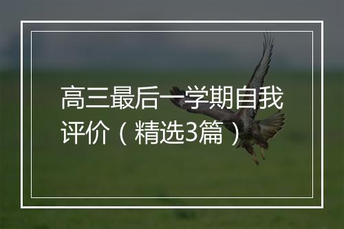高三最后一学期自我评价（精选3篇）