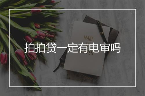 拍拍贷一定有电审吗