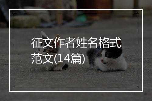 征文作者姓名格式范文(14篇)