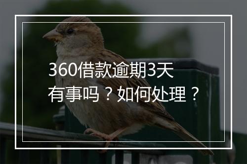 360借款逾期3天有事吗？如何处理？