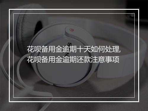 花呗备用金逾期十天如何处理,花呗备用金逾期还款注意事项