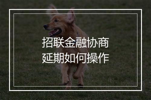 招联金融协商延期如何操作