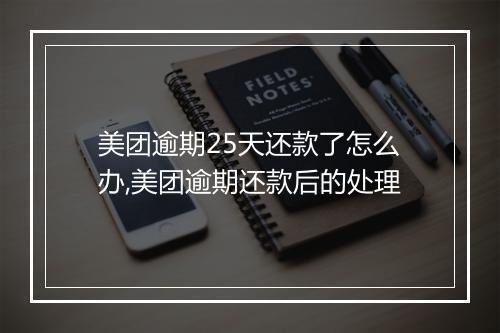 美团逾期25天还款了怎么办,美团逾期还款后的处理